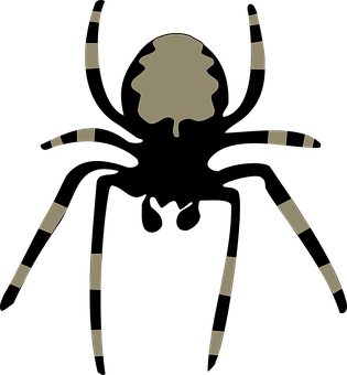 Abstract Silhouette Clock Illusion PNG with transparent background