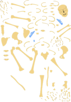 Abstract Skeleton Puzzle Pieces PNG with transparent background