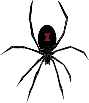 Abstract Spider Artwork PNG with transparent background