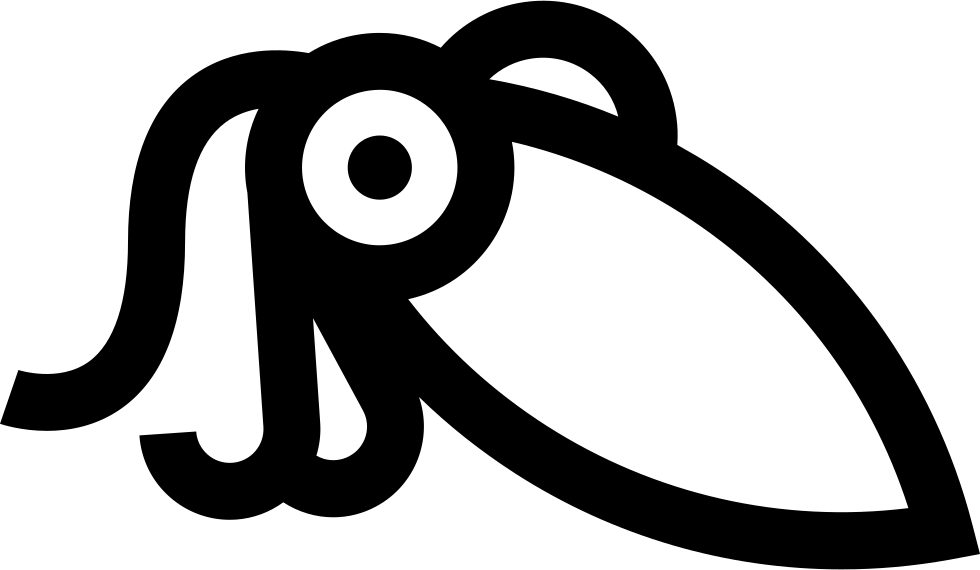 Squid, HD Png Download PNG image with a transparent background, free high-resolution download