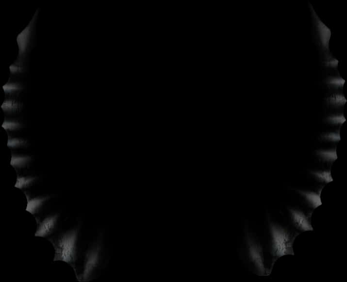 Abstract Symmetry Blackand White Pattern PNG with transparent background