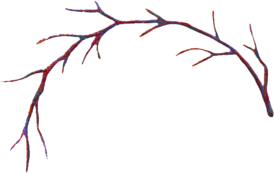 Clipart Black And White Stock Branch Transparent Decorative - Curved Branches Clipart, HD Png Download PNG with transparent background