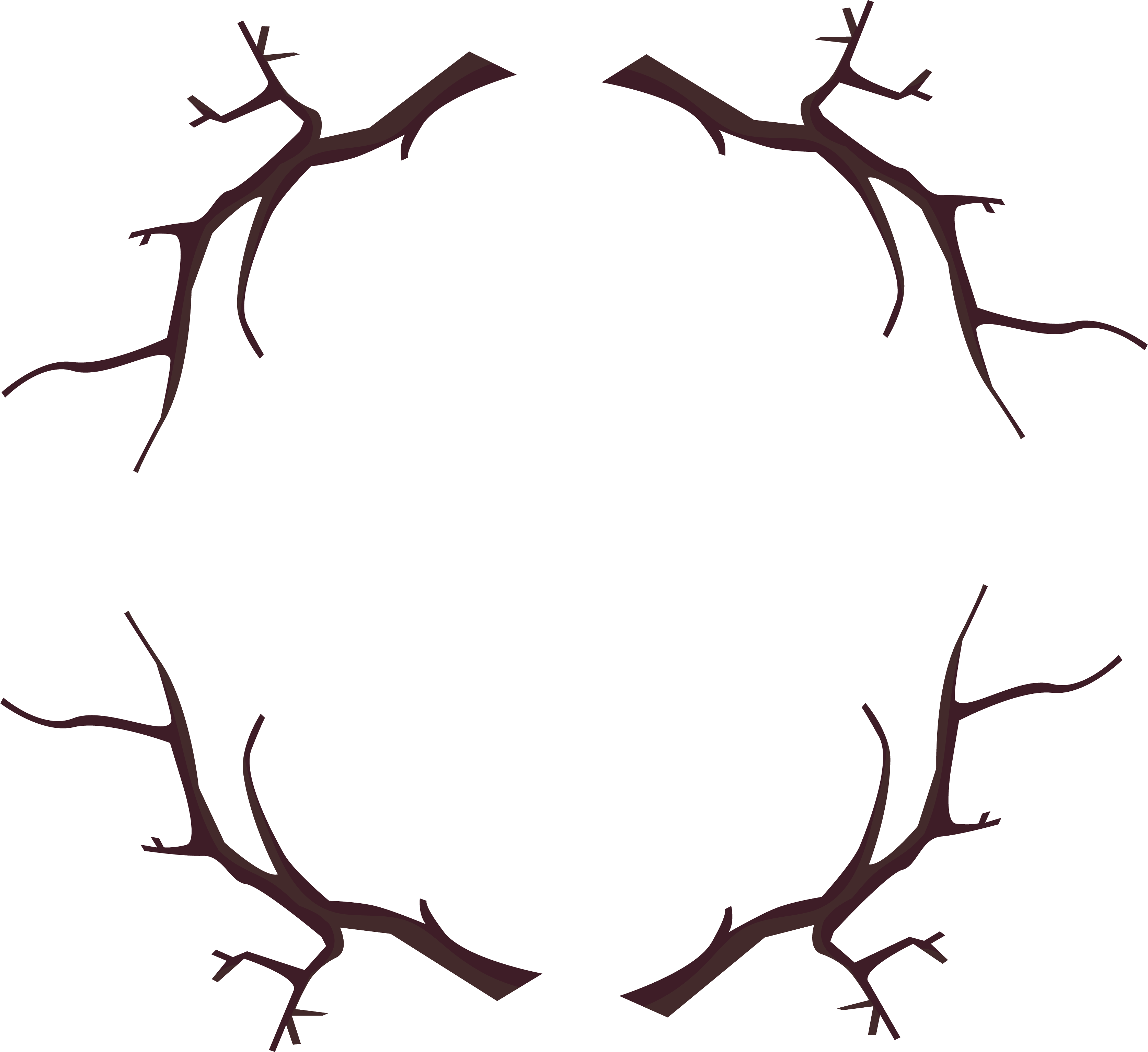 Branch Wood Frame Png Download - Branch Frame, Transparent Png PNG with transparent background