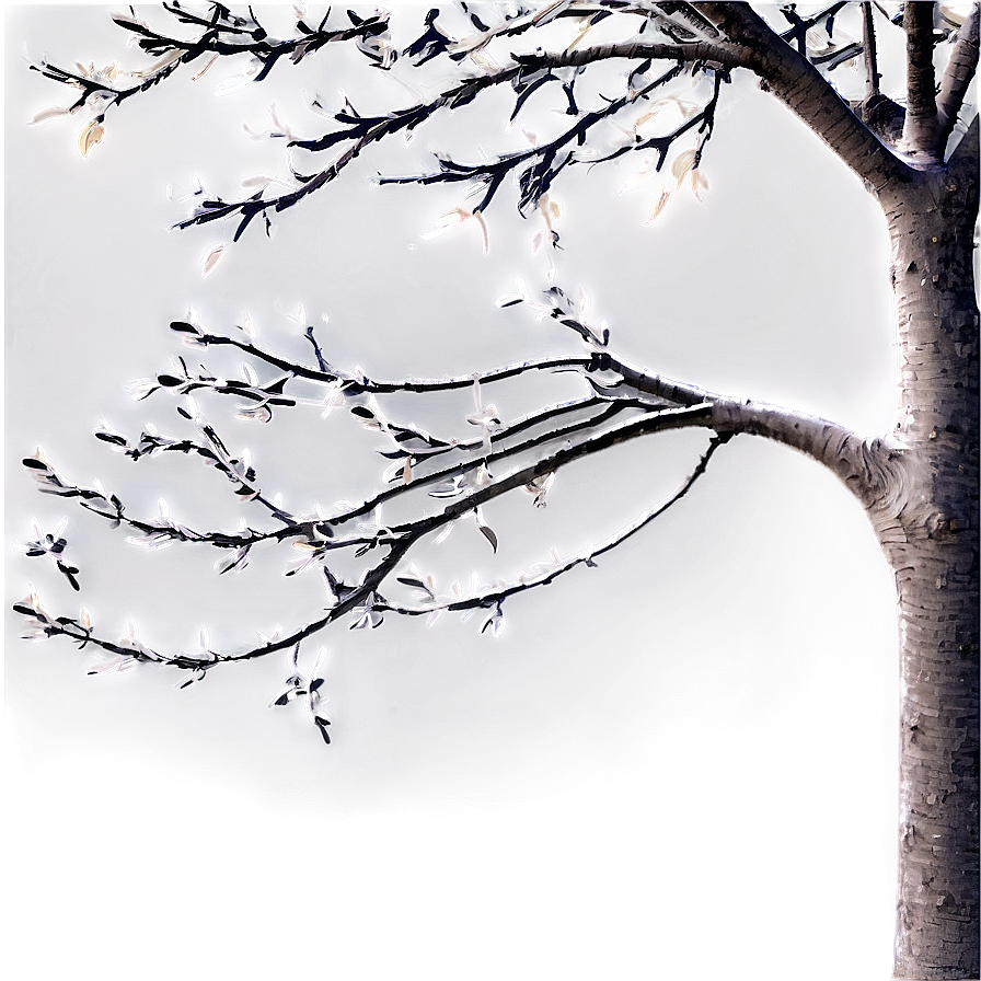 Abstract Tree Branches Png 06282024