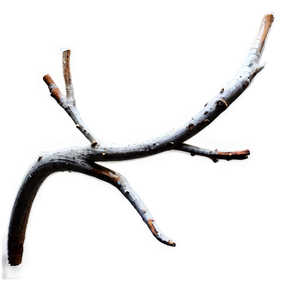 Abstract Twig Png 82