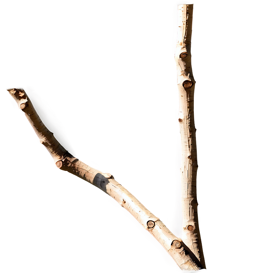 Abstract Twig Png Put83