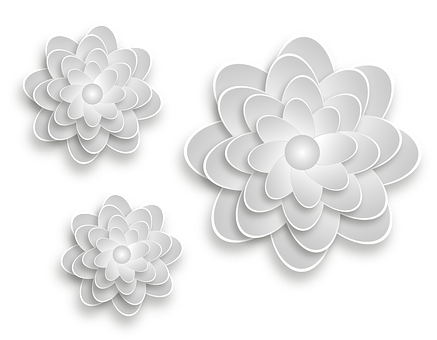 Abstract White Flowerson Black Background PNG with transparent background