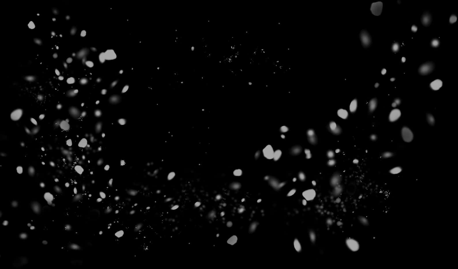 Abstract White Particleson Black Background PNG with transparent background