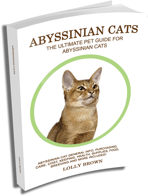 Abyssinian Cats Ultimate Pet Guide Book Cover