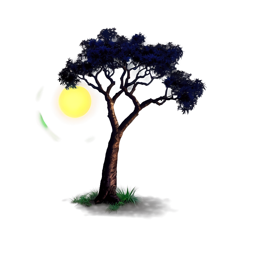 Acacia Tree Under Starry Night Png 43