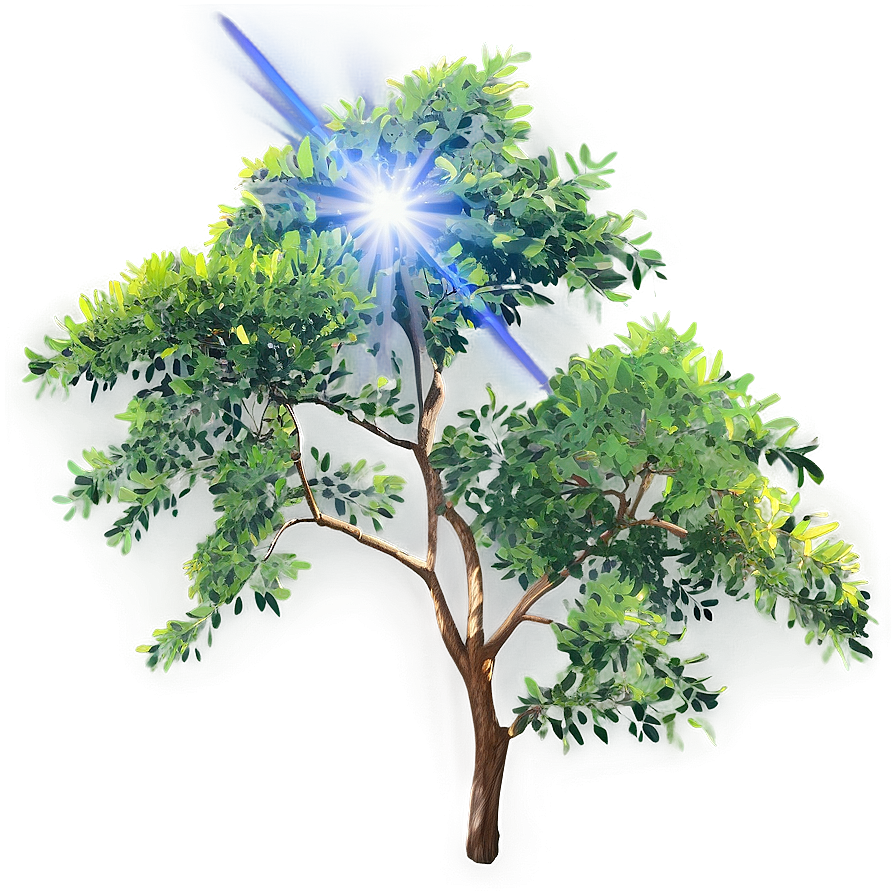 Acacia Tree With Sun Flare Png Ber58