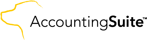Accountingsuite - Accounting, HD Png Download PNG with transparent background