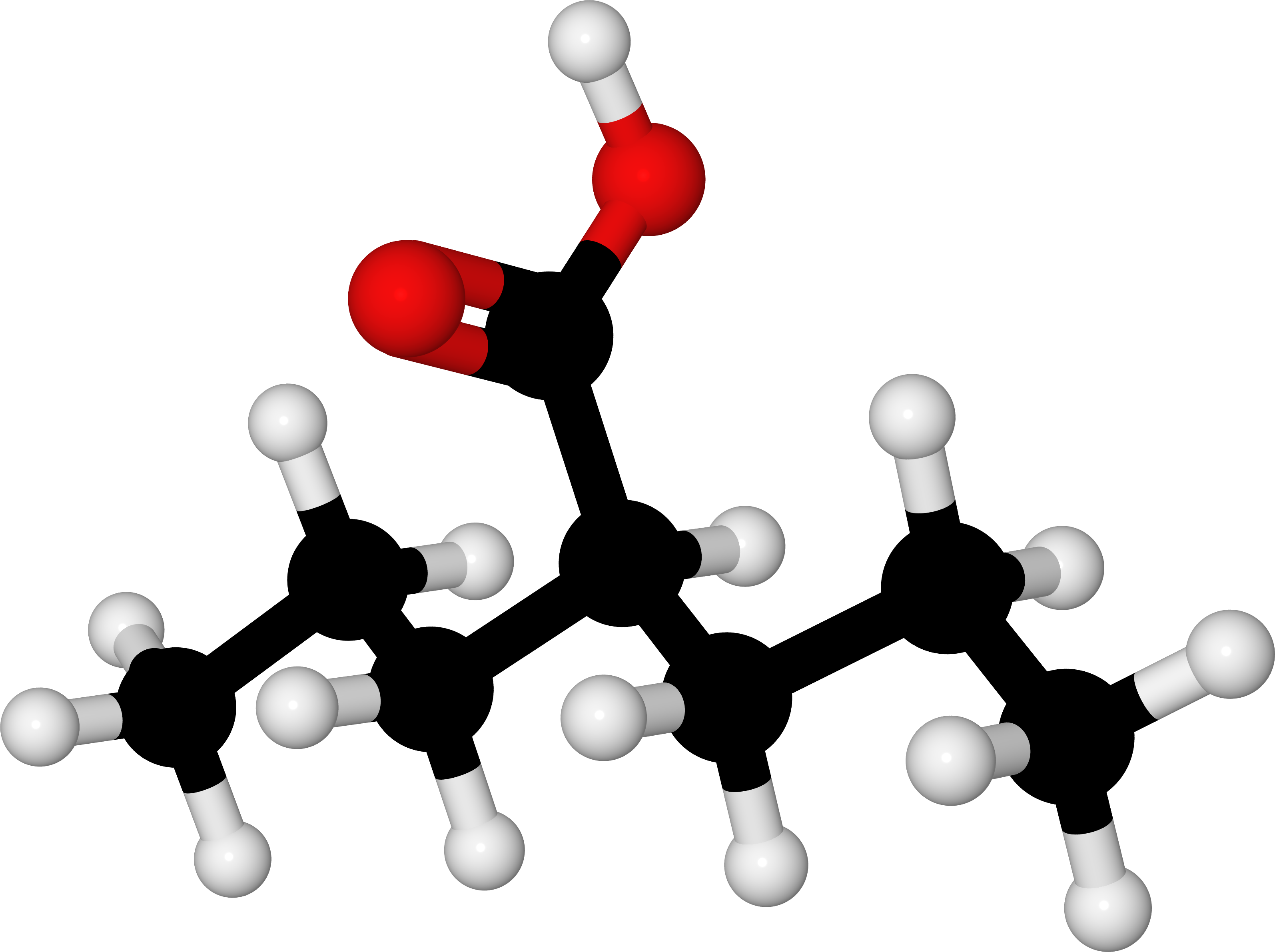 File - Valproic Ac - Valproic Acid Mechanism Of Action, HD Png Download PNG with transparent background