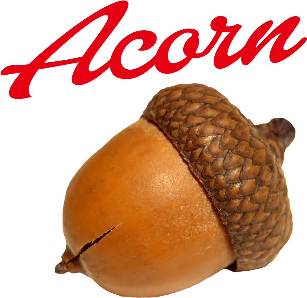 Acorn Brand Logo