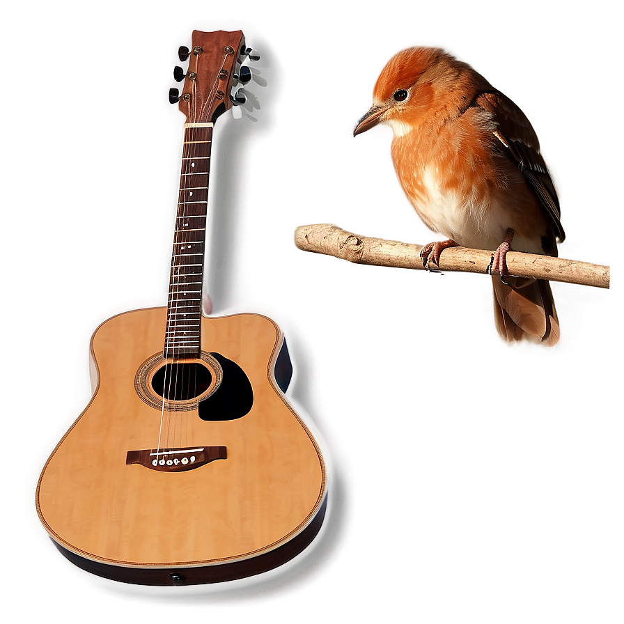 Acoustic Guitar With Bird Png 06122024