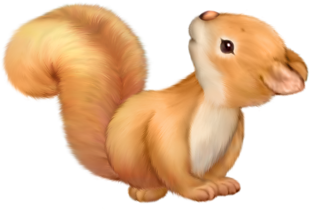 Adorable Cartoon Squirrel PNG with transparent background