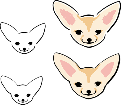 Adorable Chihuahua Faces Illustration PNG with transparent background