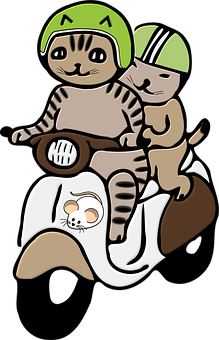 Adventure Catson Motorcycle PNG image with a transparent background, free high-resolution download