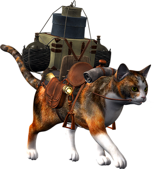 Adventure Ready Catwith Backpack PNG with transparent background