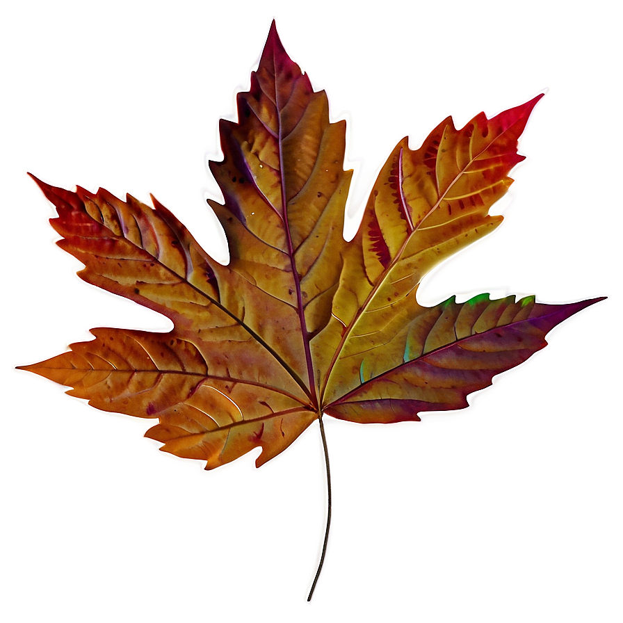 Aesthetic Autumn Leaves PNG 06112024 PNG with transparent background