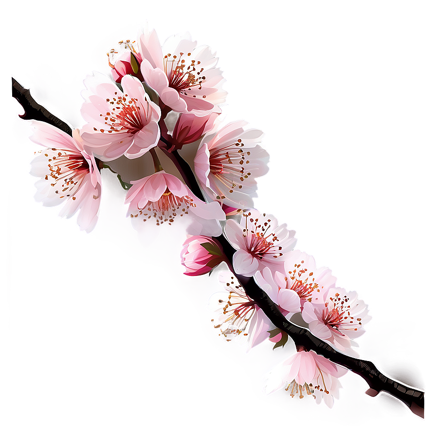 Aesthetic Cherry Blossom Branch PNG ukw PNG with transparent background