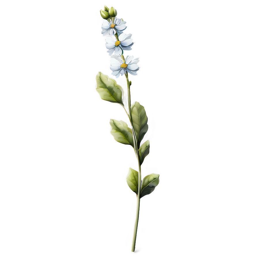 Aesthetic Flower Stem Png 37