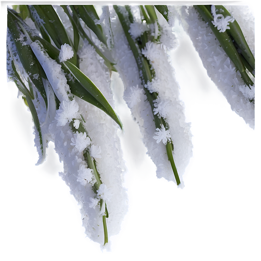 Aesthetic Flowers In Snow Png 06282024