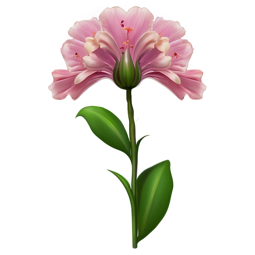 Aesthetic Spring Flower Bliss Png Pau