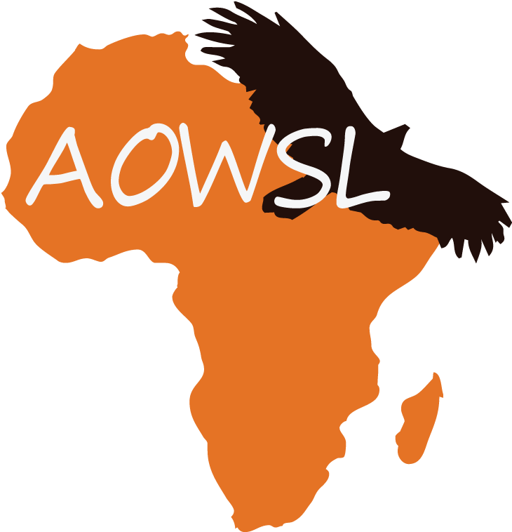 Africa Silhouette Eagle Overlay PNG with transparent background