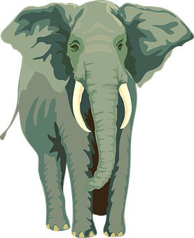African Elephant Illustration PNG with transparent background
