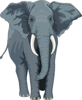 African Elephant Illustration PNG with transparent background