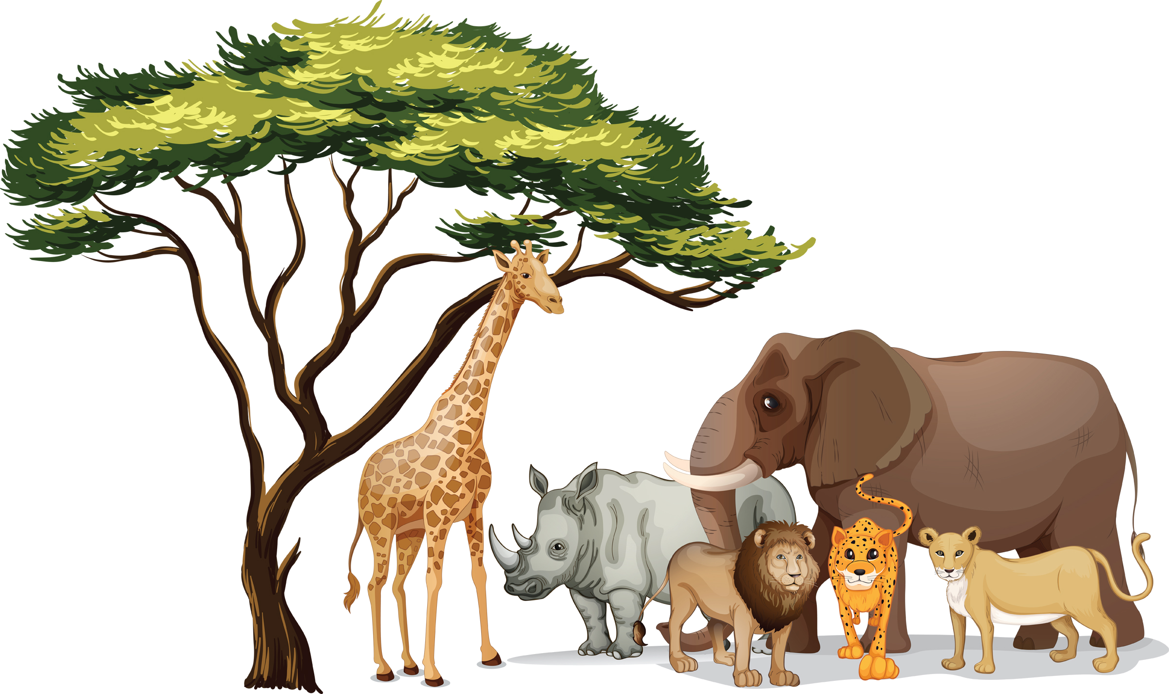 African_ Safari_ Animals_ Gathering PNG with transparent background