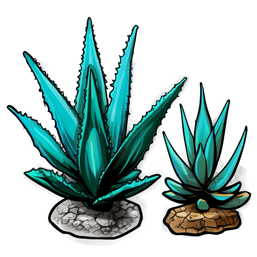 Agave Plant Sketch Png 06282024