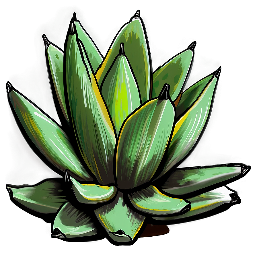 Agave Plant Sketch Png Kbn84