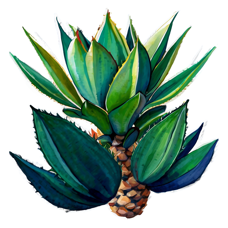 Agave Plant Watercolor Png 06282024