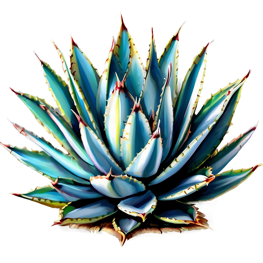 Agave Vector Art Png Fbm