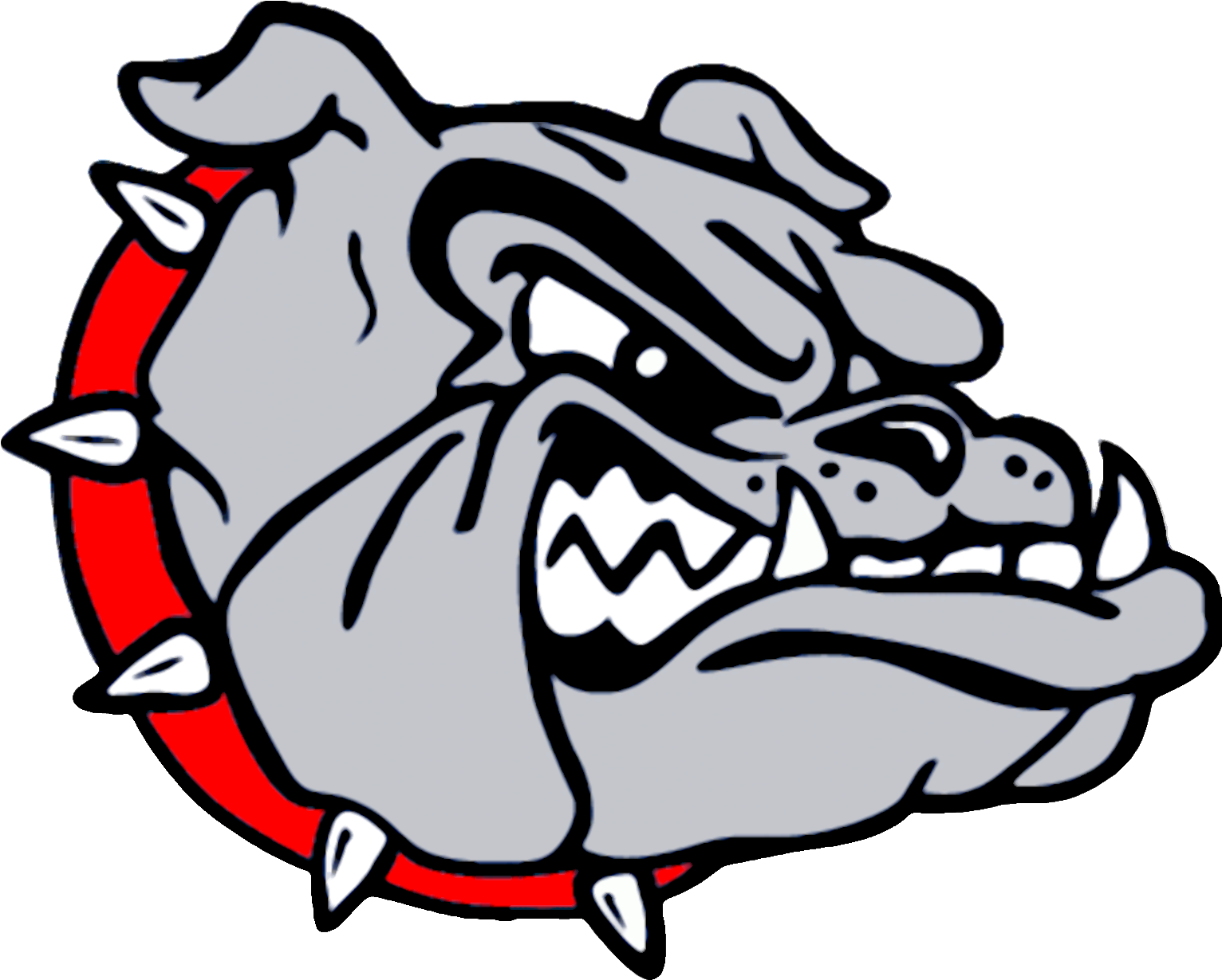 Aggressive Bulldog Cartoon PNG with transparent background