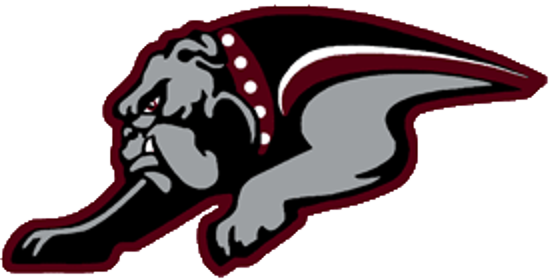 Aggressive Bulldog Mascot Graphic PNG with transparent background