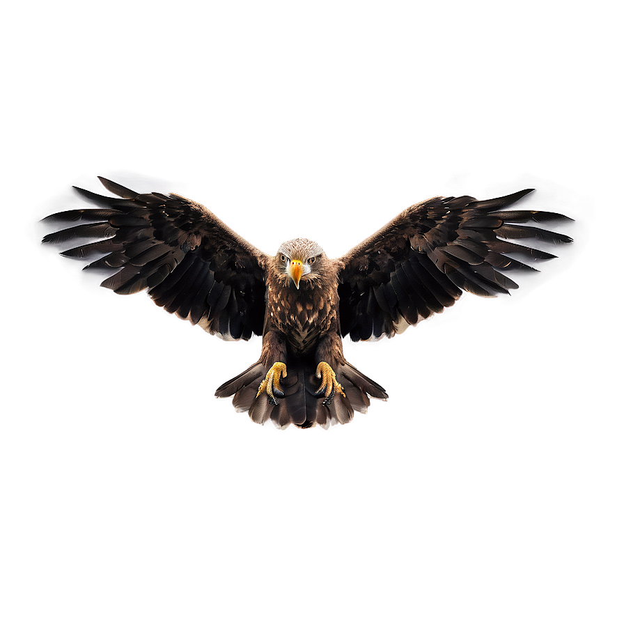 Aguila Wallpaper Png Rpj