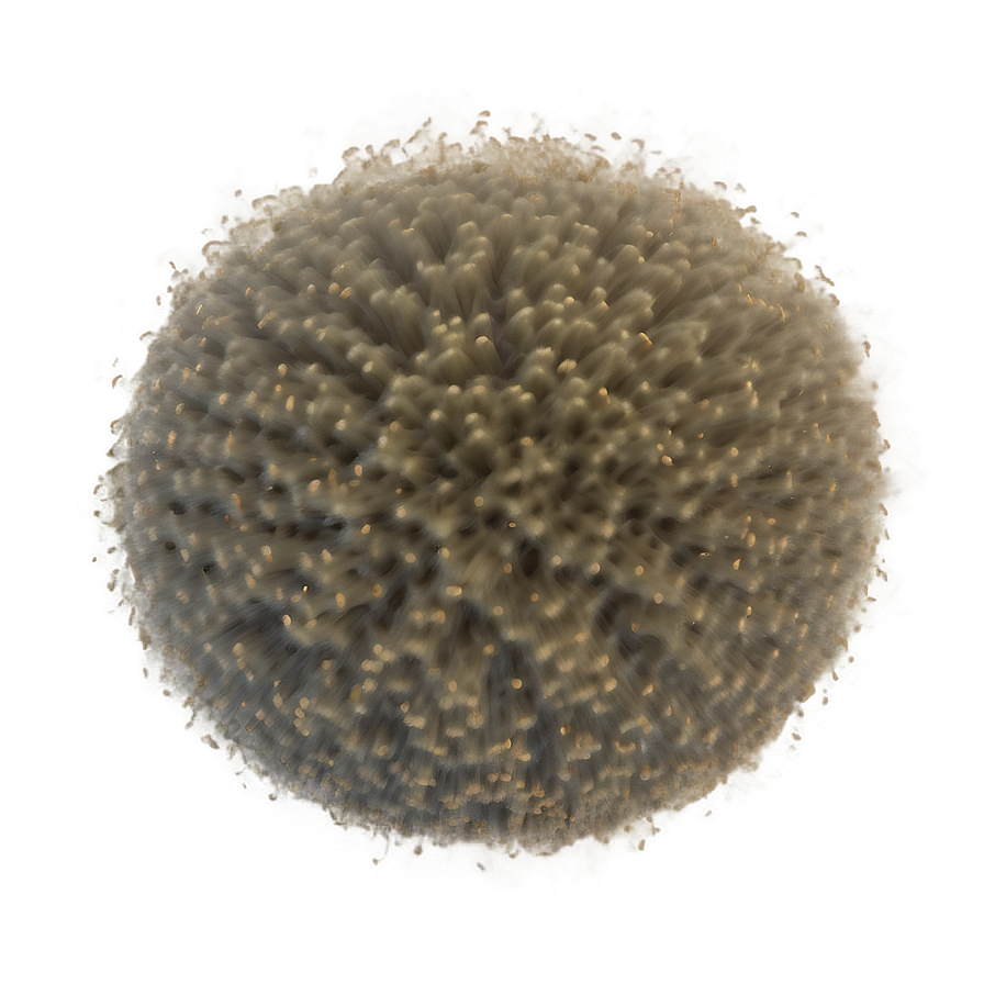 Airborne Dust Particles Texture Png Gil