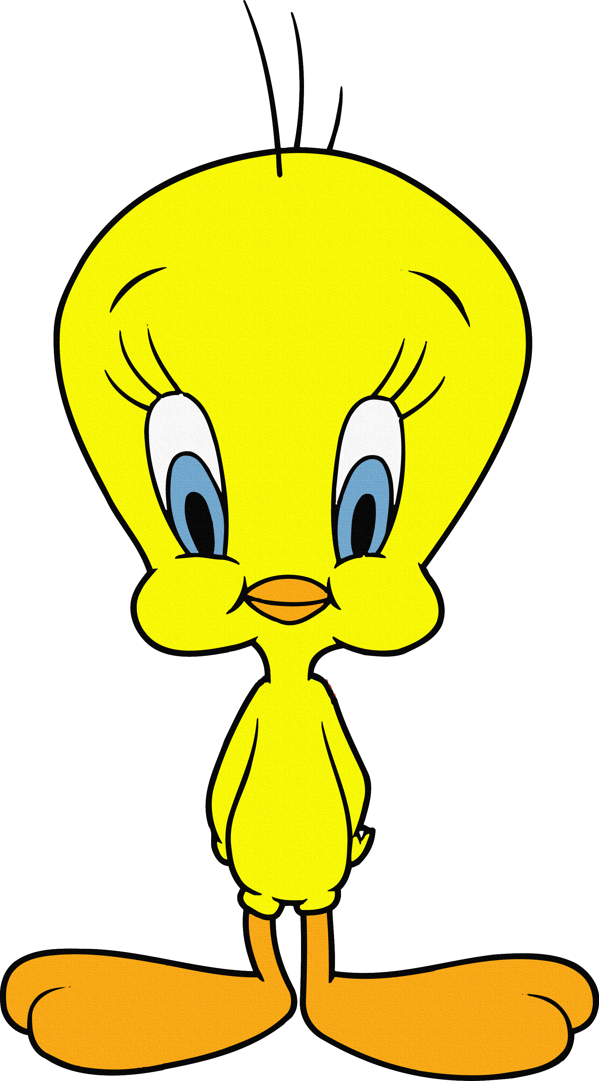 Şaşkın Bakışlı Tweety Kuş - Tweety Bird, HD Png Download PNG with transparent background