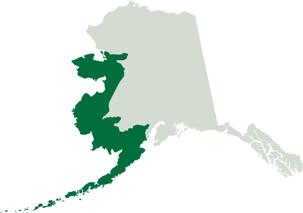 Alaska Map Silhouette