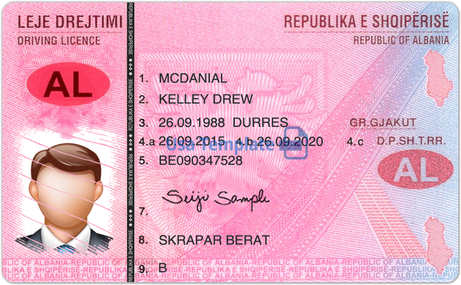 Albanian Driving License Sample