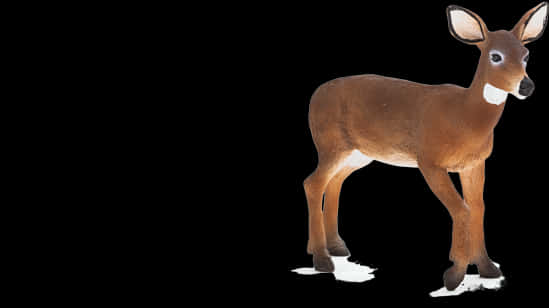 Alert Brown Deer On Black Background