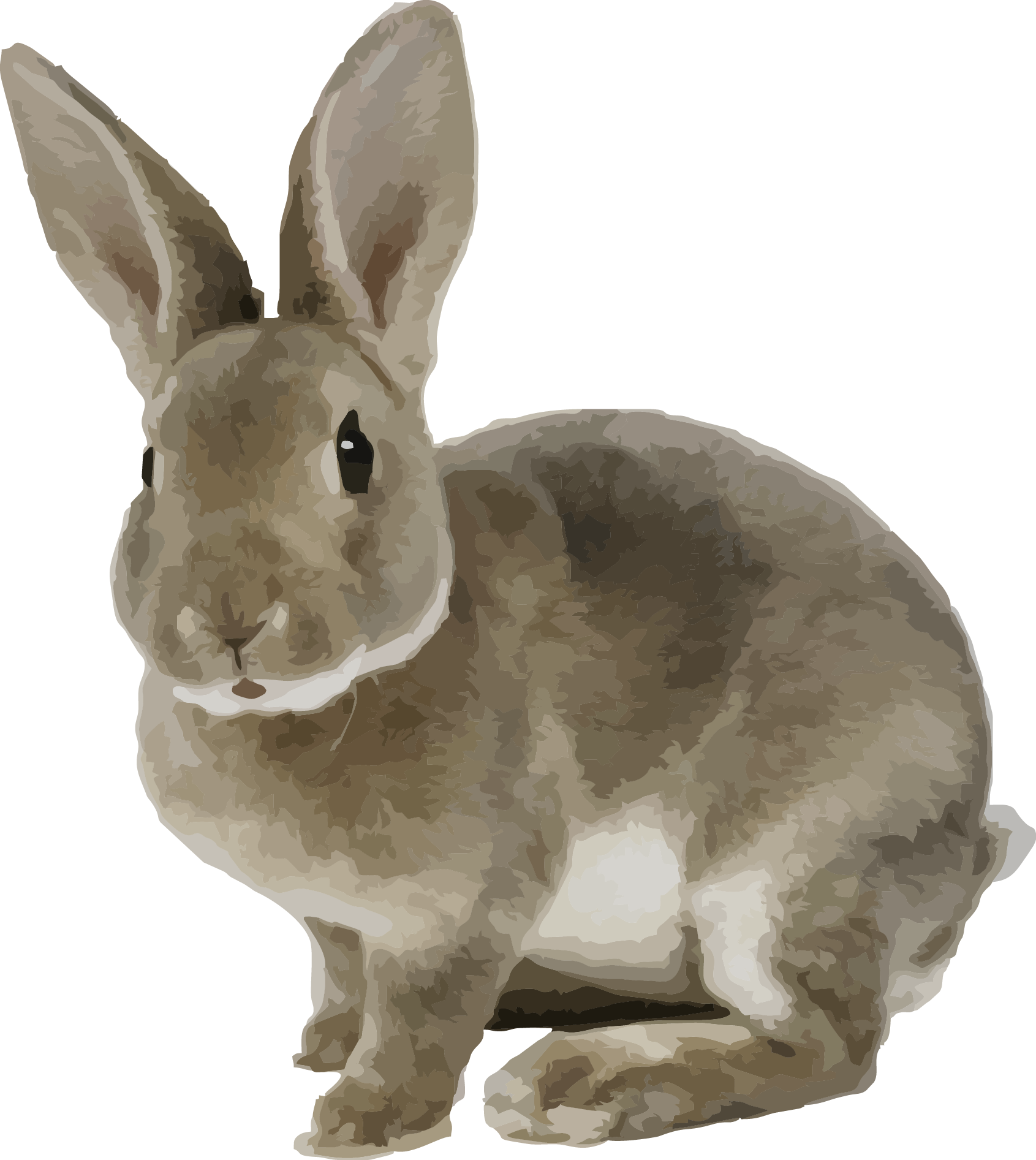 Alert Brown Rabbit Illustration