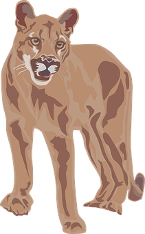 Alert Cougar Illustration