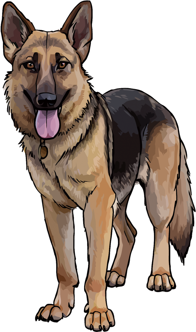 Alert German Shepherd Illustration