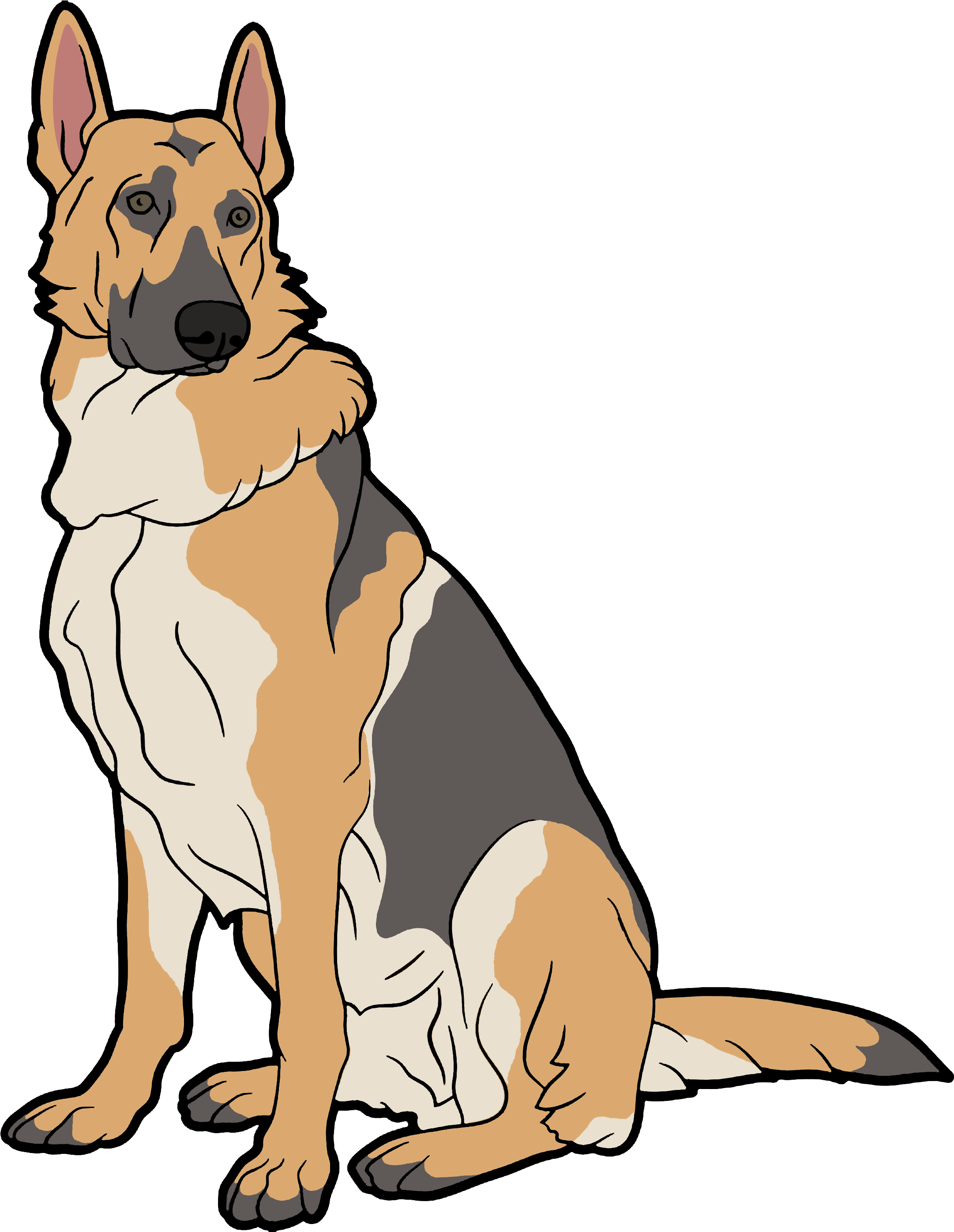 Clipart German Shepherd Dogs, HD Png Download PNG with transparent background