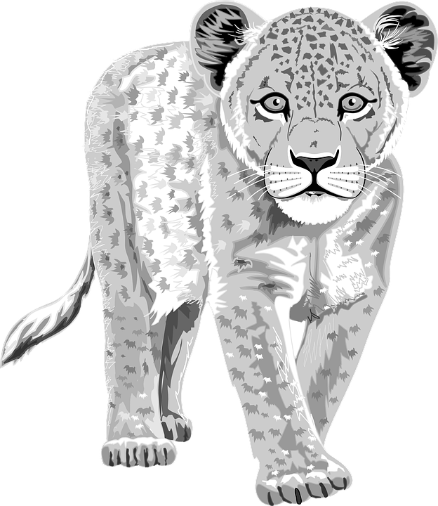 Alert Leopard Illustration