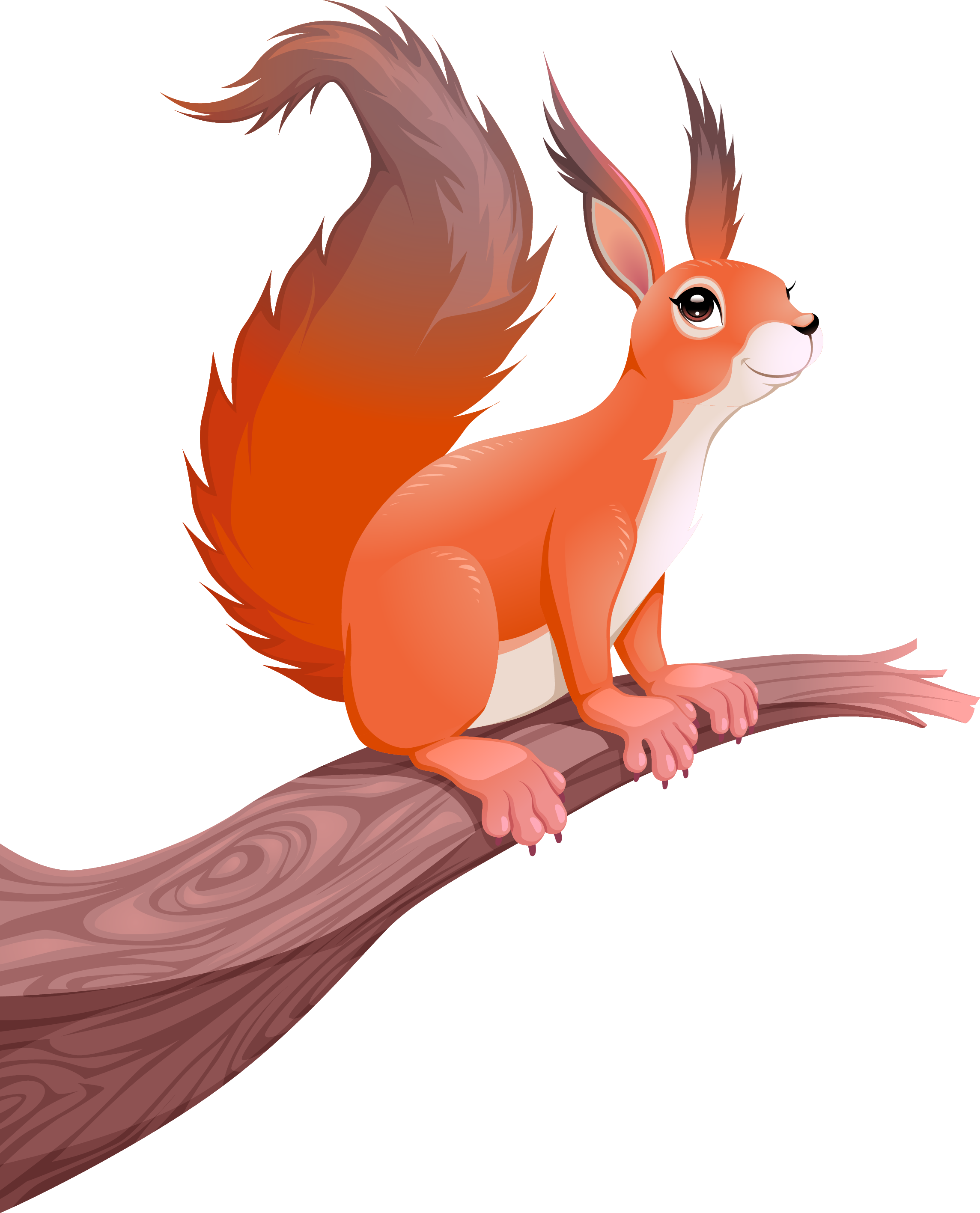 Alert Orange Squirrelon Branch PNG with transparent background